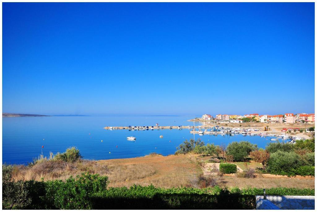 Villa Jurac Povljana Esterno foto